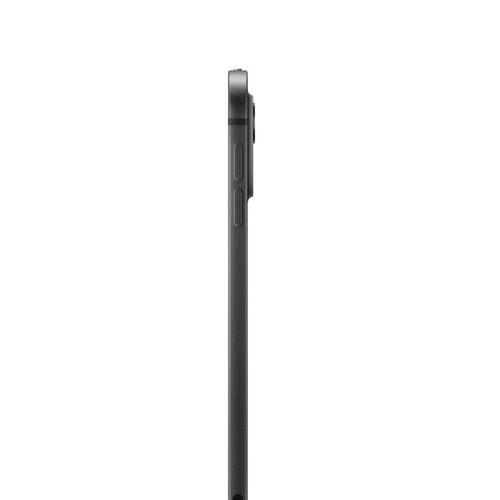 iPad Pro 11 WiFi 512GB with Standard glass - Space Black [MVVC3ZP/A]
