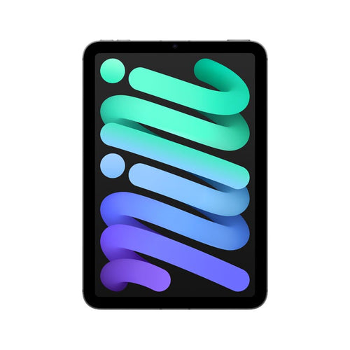 iPad mini Wi-Fi + Cellular 256GB - Space Grey [MXPT3ZP/A]