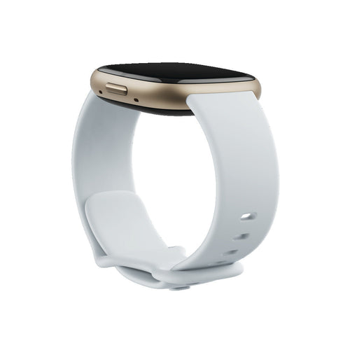 Fitbit Sense 2 Smartwatch (Blue Mist / Pale Gold)