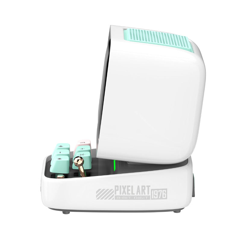 Divoom Ditoo Pro Pixel Art BT Speaker (White)