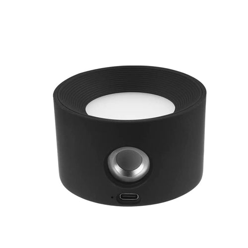Valore Wall Mounted Lamp with Remote (LT-008)