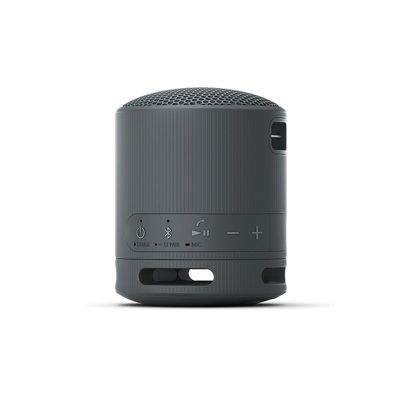 Sony SRS-XB100 Bluetooth Speaker (Black)