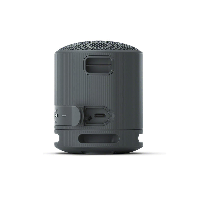 Sony SRS-XB100 Bluetooth Speaker (Black)