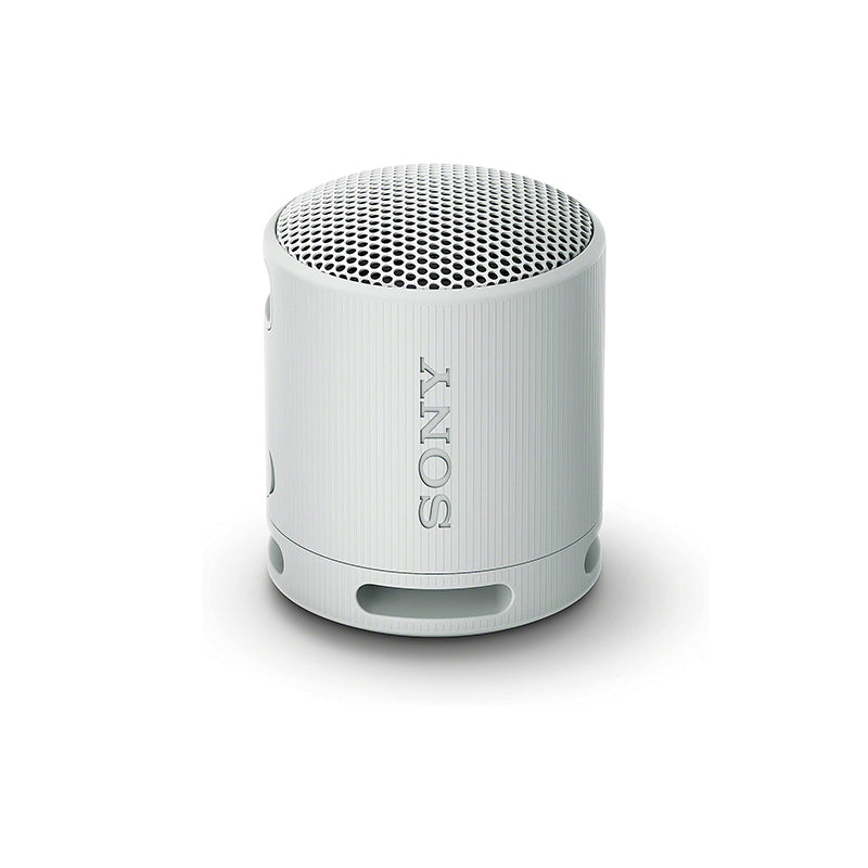 Sony SRS-XB100 Bluetooth Speaker (Gray)
