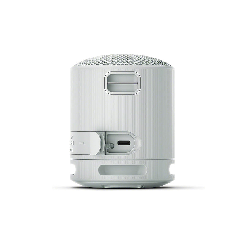 Sony SRS-XB100 Bluetooth Speaker (Gray)