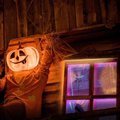 TP-Link Tapo L920-5 Smart Wi-Fi Light Strip Multicolor (5m)