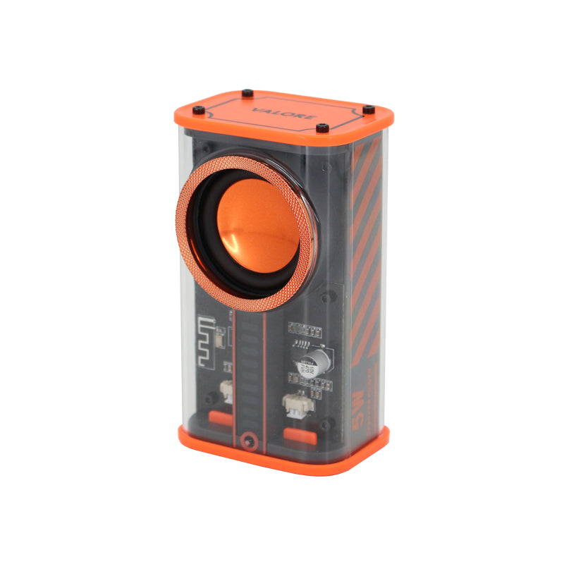 Valore Wireless Speaker (BTS43)