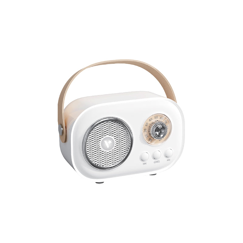 Valore Wireless Speaker with Microphone (BTS45)