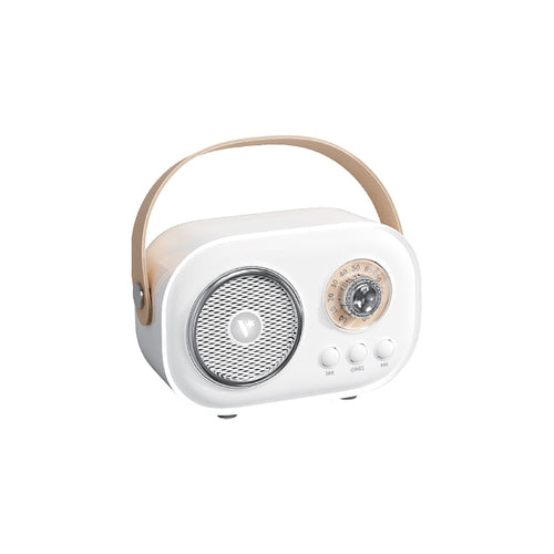 Valore Wireless Speaker with Microphone (BTS45)