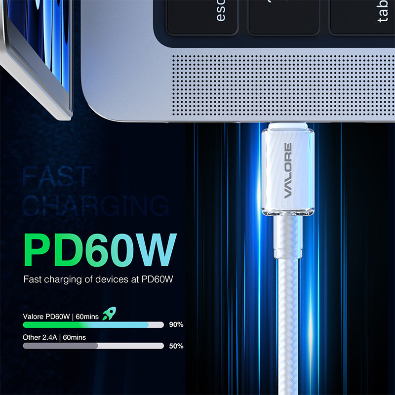 Valore PD60W USB-C to USB-C Cable (CA-020)