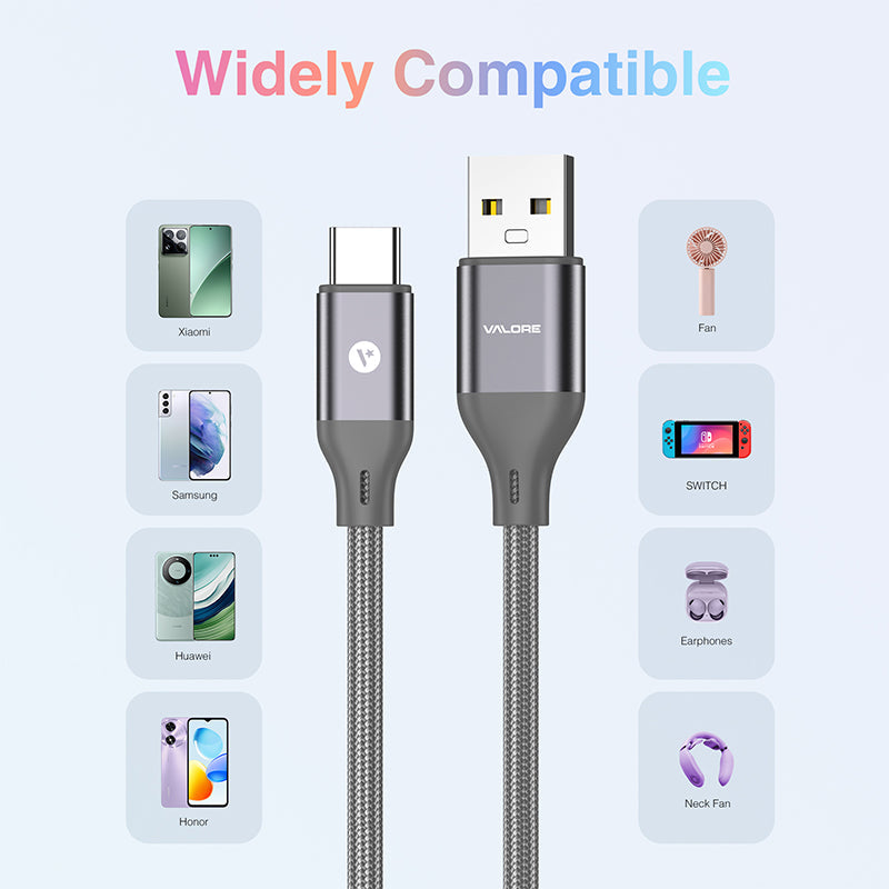 Valore USB-A to USB-C Cable (CA-022)