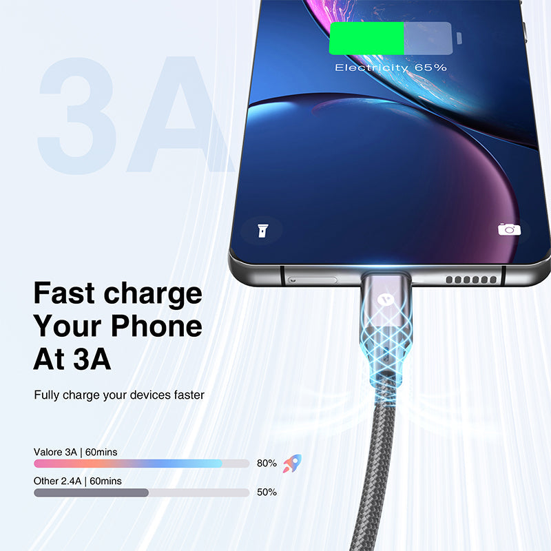 Valore USB-A to USB-C Cable (CA-022)