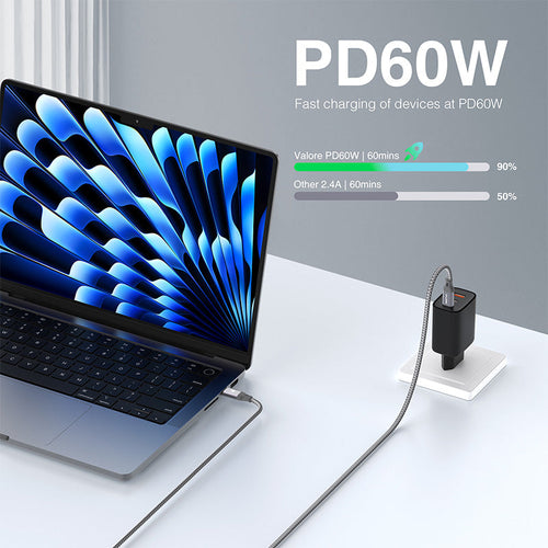 Valore PD60W USB-C to USB-C Cable (CA-024)
