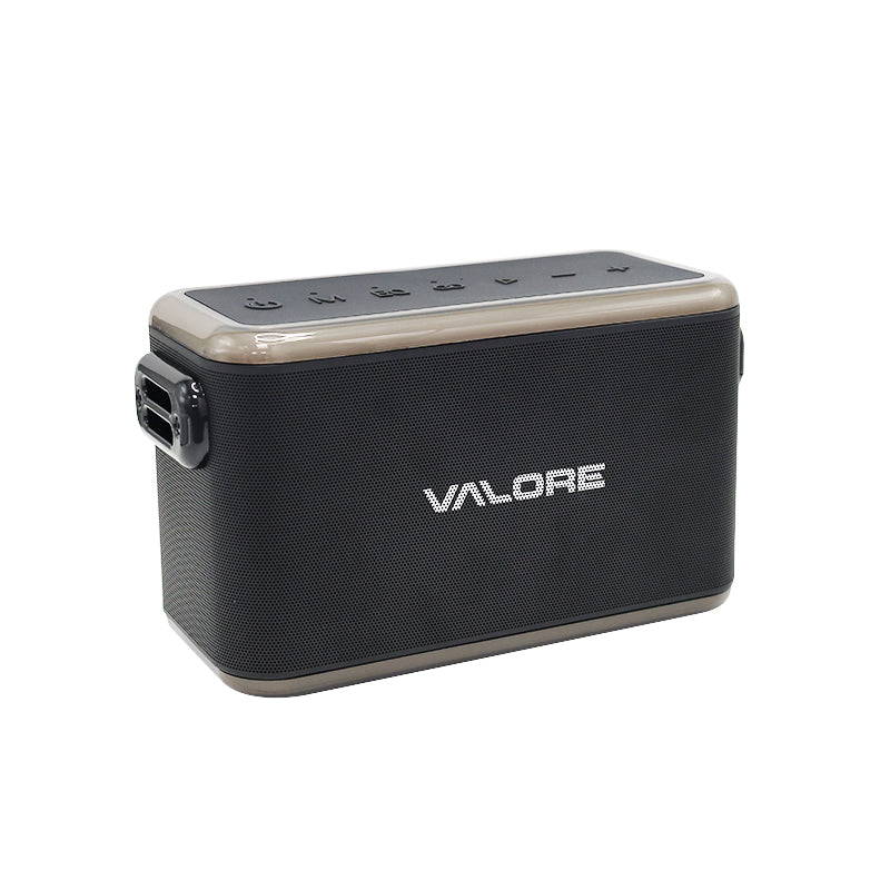 Valore Karaoke Wireless Speaker with Microphone (SP-010)