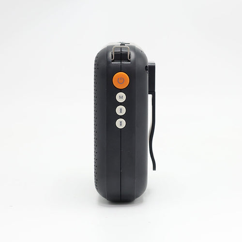 Valore Wireless Speaker (SP-011)