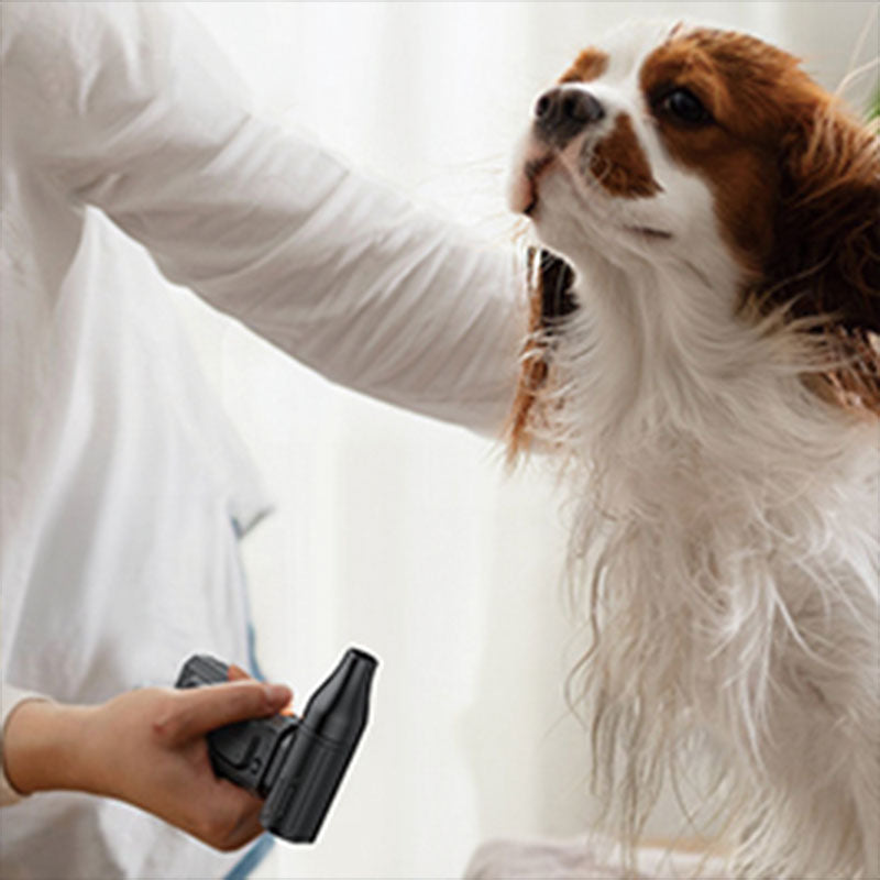 Valore Mini Multi-Use Air Blower (FA-024) - Black