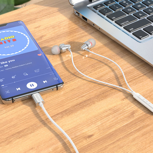 Hoco M90 Delight Type-C Wired Digital Earphone with Microphone (Silver)
