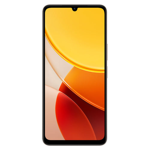 Vivo Y04 Titanium Gold 4+64GB LTE