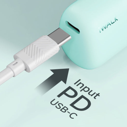 iWalk DBL5000PC-012A 4800mAh LinkPod Pro Type C (Green)