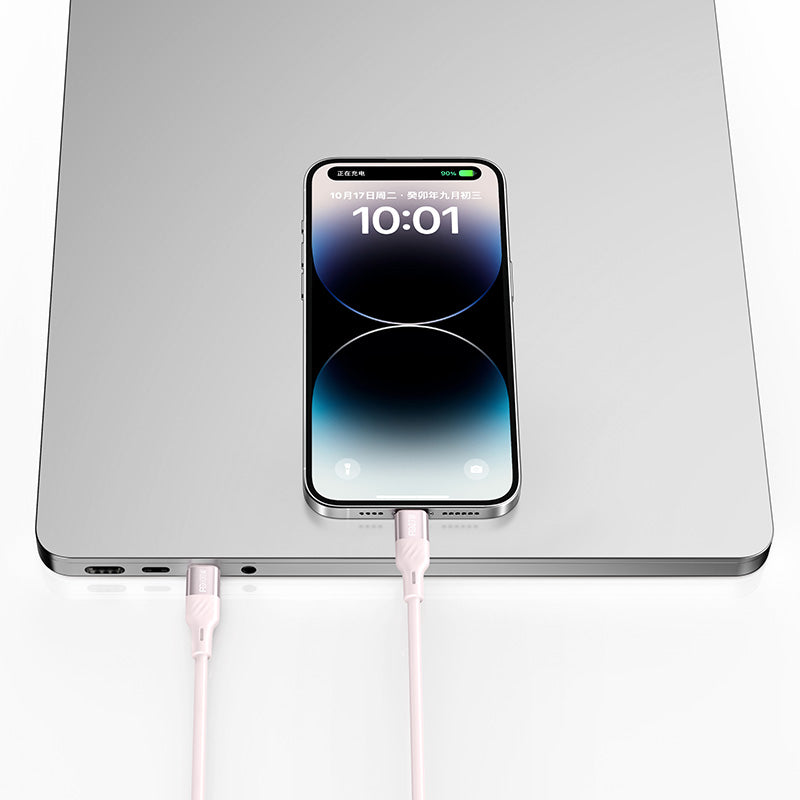 Recci RS22CC PD100W C-C Fast Charge Silicon Data Cable (1.5M) - Blue