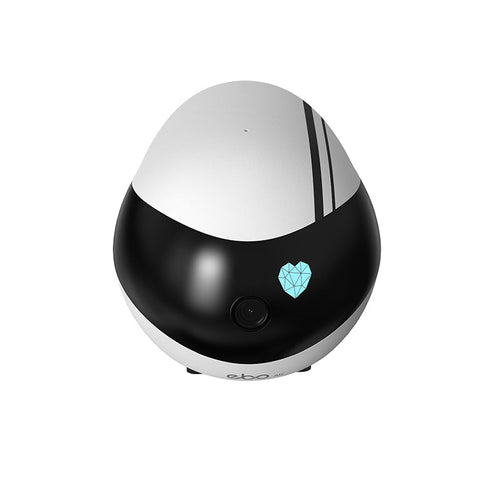 Enabot Ebo Air Smart Familybot