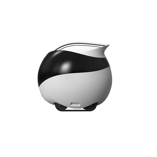 Enabot Ebo Air Smart Familybot