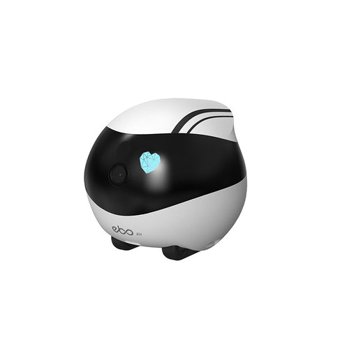 Enabot Ebo Air Smart Familybot