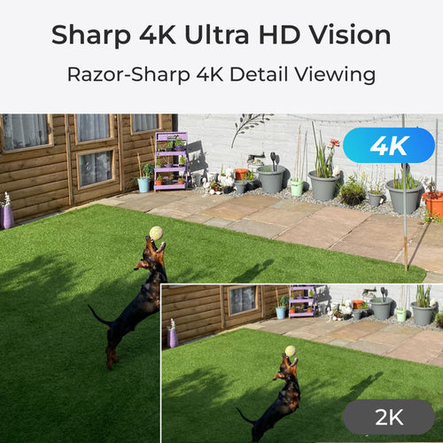 Reolink Argus PT Ultra 8MP Battery WIFI