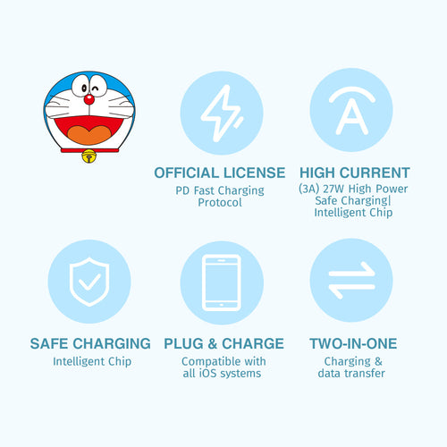 Doraemon C TO C 100W Fast Charge & Sync Cable (Sweetheart)