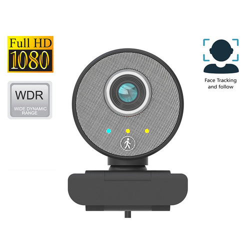 DLab W21 Full HD 1080P Autofocus AI Webcam With Tripod (Black)