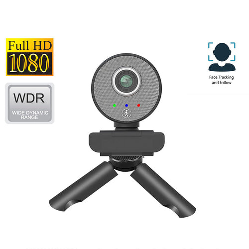 DLab W21 Full HD 1080P Autofocus AI Webcam With Tripod (Black)