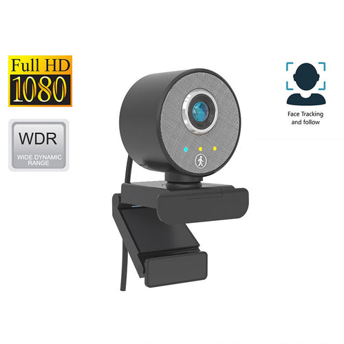 DLab W21 Full HD 1080P Autofocus AI Webcam With Tripod (Black)
