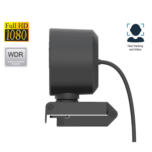 DLab W21 Full HD 1080P Autofocus AI Webcam With Tripod (Black)