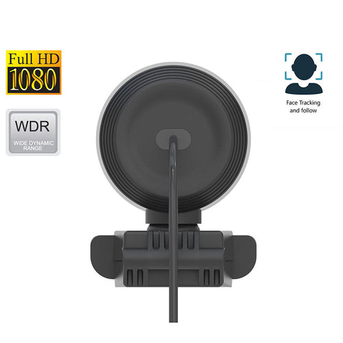 DLab W21 Full HD 1080P Autofocus AI Webcam With Tripod (Black)