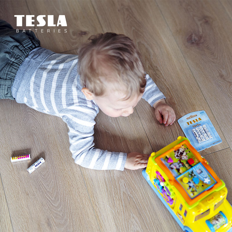 Tesla BOY-LR06-4B AA Toys+ Alkaline Boy (4 Pcs)