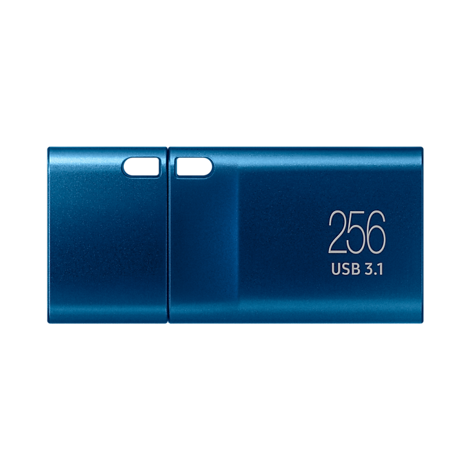 Samsung USB Type-C 256GB USB Flash Drive