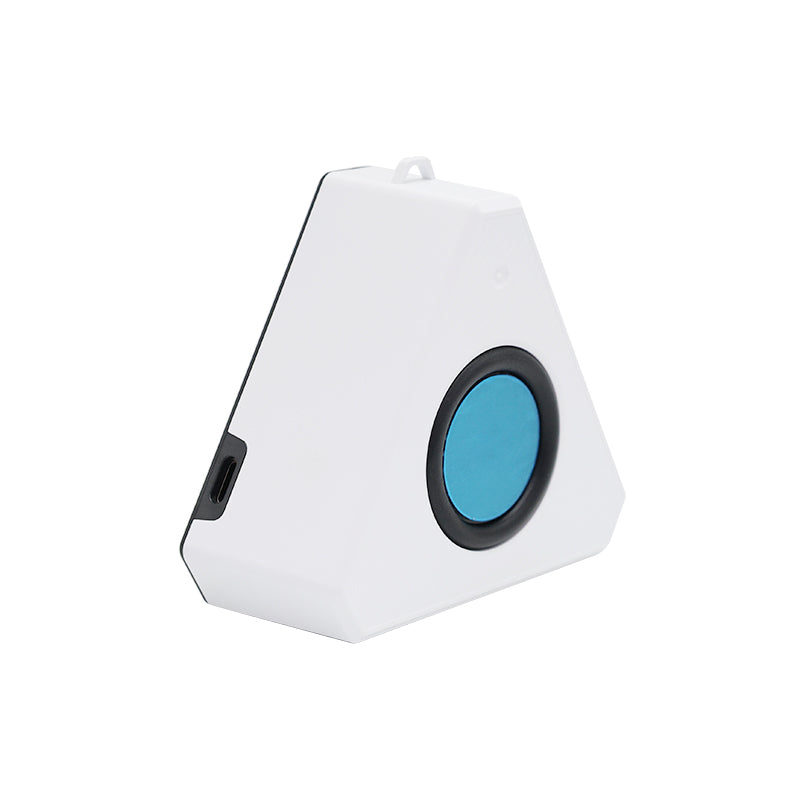 VCE VE-MM20 Mini Wireless Speaker