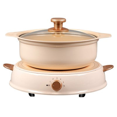 Iris Ohyama IHL-R14 Ceramic coating pot with Induction (Beige)