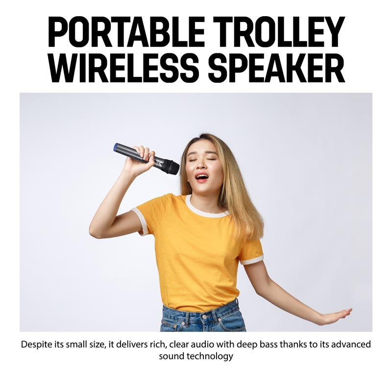 Vinnfier Tango 700 WMB Karaoke Speaker